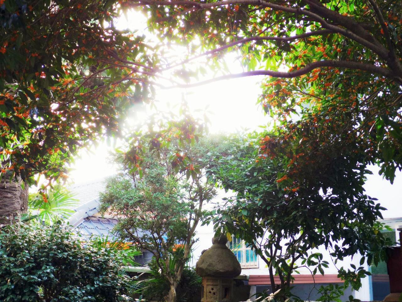 Picasso Guesthouse Mokpo Eksteriør billede