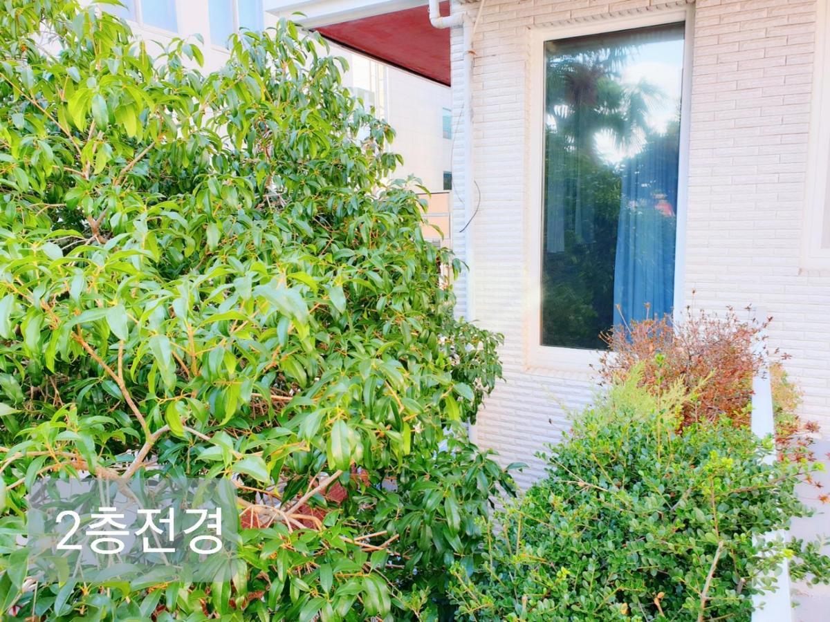 Picasso Guesthouse Mokpo Eksteriør billede
